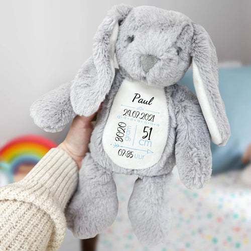 Gepersonaliseerde baby knuffelhaas Hasi met opdruk, zachte pluche konijn ca. 34 cm – Motiv 2